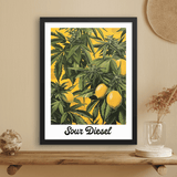 Sour Diesel Lemons Art Print