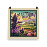 Granddaddy Purple Square Art Print