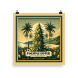 Pineapple Express Square Vintage Style Art Print