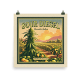 Sour Diesel Square Vintage Style Art Print