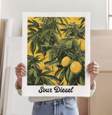 Sour Diesel Lemons Art Print