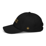 IV•XX 420 Organic Dad Hat